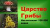 Царство грибы. Разнообразие грибов