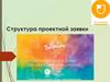 Структура проектной заявки