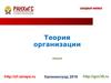 Теория организации. Проектирование и оценка организационных процессов