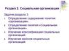 Социальная организация