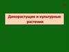 Дикорастущие и культурные растения