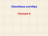 Линейная алгебра. Система линейных однородных уравнений. Фундаментальная система решений