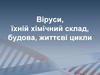 Віруси, їхній хімічний склад, будова, життєві цикли