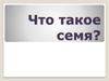 Что такое семя?