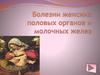 Болезни женских половых органов и молочных желез. Обучающая программа