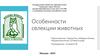 Особенности селекции животных