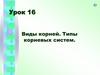 Виды корней. Типы корневых систем
