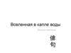 Вселенная в капле воды. Японские трехстишия