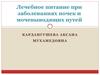 Лечебное питание при заболеваниях почек и мочевыводящих путей