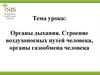 Органы дыхания. Строение воздухоносных путей человека, органы газообмена человека