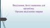 Виділення, його значення для організму. Органи виділення тварин