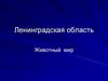 Животный мир Ленинградской области