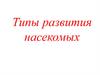 Типы развития насекомых
