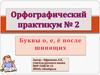 О-Е после шипящих. Орфографический практикум № 2