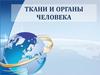 Ткани и органы человека