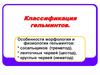 Гельминтология. Классификация гельминтов