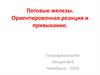 Потовые железы. Ориентировочная реакция и привыкание