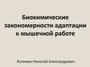 Биохимические закономерности адаптации к мышечной работе