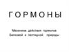 Гормоны. Механизм действия гормонов белковой и пептидной природы