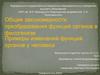 Закономерности преобразования функций органов в филогенезе. Примеры изменений функций органов у человека