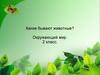 Какие бывают животные? Окружающий мир. 2 класс