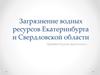 Загрязнение водных ресурсов Екатеринбурга и Свердловской области