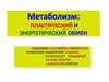 Метаболизм: пластический и энергетический обмен