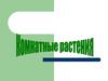 Комнатные растения