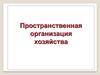 Пространственная организация хозяйства