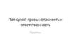 Пал сухой травы: опасность и ответственность