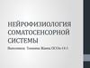 Нейрофизиология соматосенсорной системы