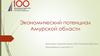 Экономический потенциал Амурской области