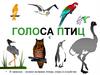 Голоса птиц