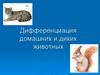 Дифференциация домашних и диких животных. 1 класс