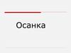 Осанка