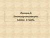 Биомакромолекулы. Белки.Термодинамические потенциалы