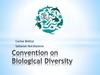 Convention on biological diversity