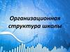 Организационная структура школы