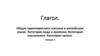 Общая характеристика глаголов в английском языке