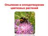 Опыление и оплодотворение цветковых растений