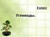 Углеводы. 9 класс