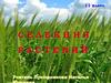 Селекция растений. 11 класс