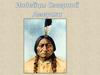 Инде́йцы — общее название коренного населения Америки