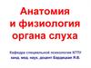 Анатомия и физиология органа слуха