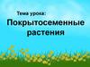 Покрытосеменные растения