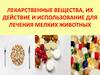 Лекарственные вещества, их действие и использование для лечения мелких животных