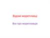 Відомі мореплавці. Все про мореплавців