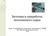 Заготовка и переработка лесосеменного сырья. Обследование лесосеменных объектов перед заготовкой семян