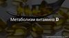 Метаболизм витамина D