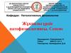 Жұқпалы үрдіс патофизиологиясы. Сепсис және сепсистік сілейменің патогенезі